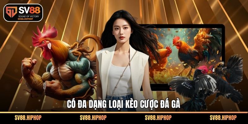 Có đa dạng loại kèo cược đá gà