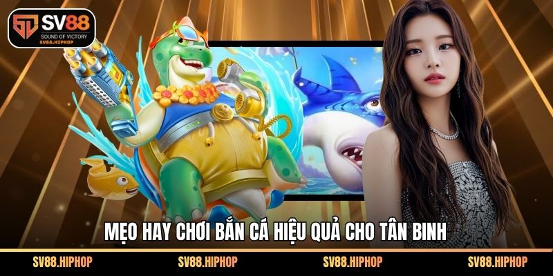 Mẹo hay chơi bắn cá hiệu quả cho tân binh