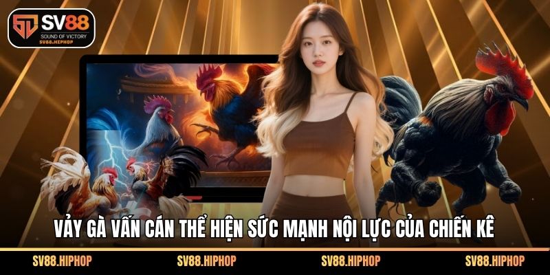 Vảy gà vấn cán thể hiện sức mạnh nội lực của chiến kê